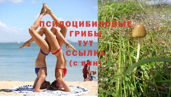 apvp Армянск