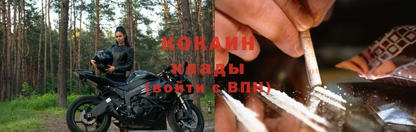 амф Аркадак
