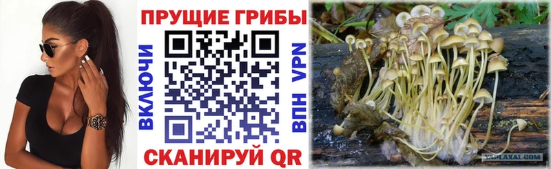 Псилоцибиновые грибы Magic Shrooms Коломна